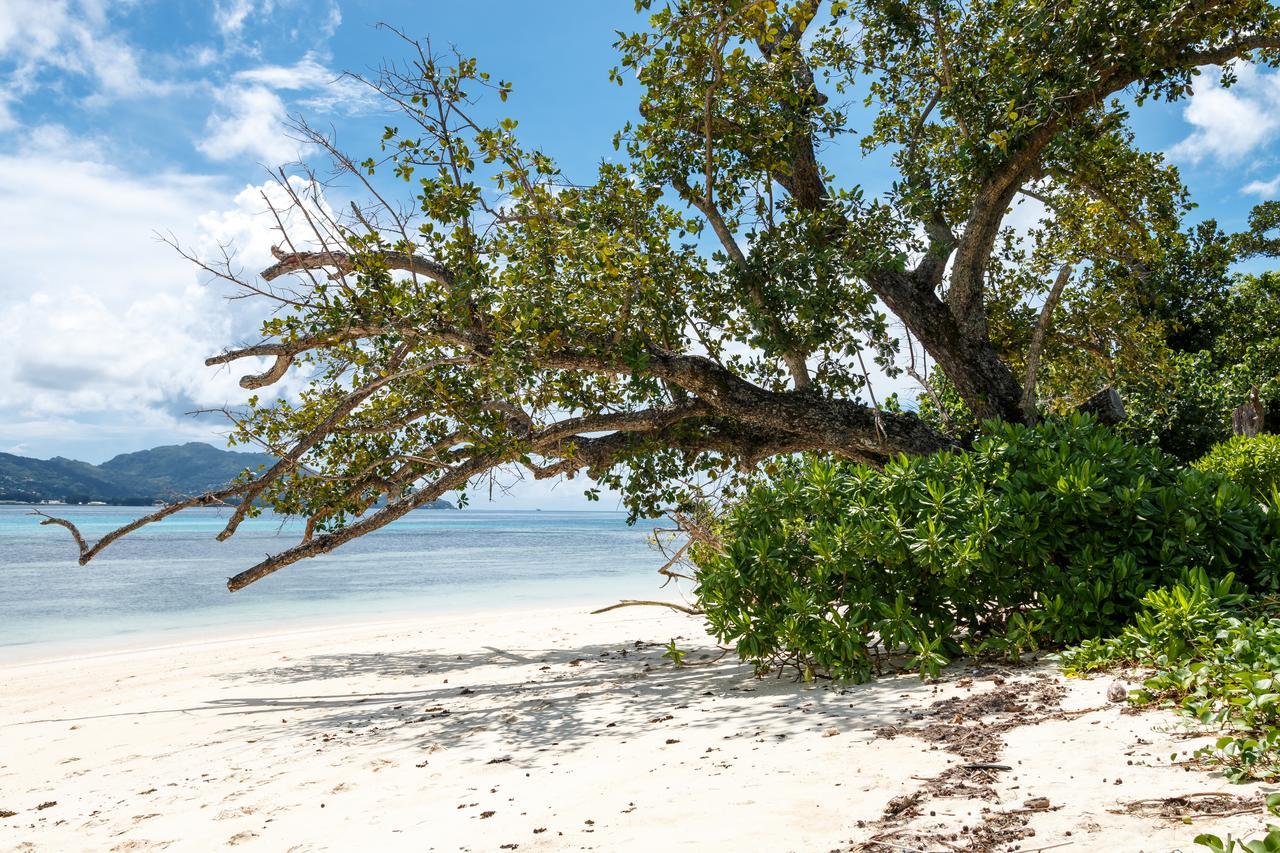 Surf Tropical Villa Seascape Île au Cerf Extérieur photo
